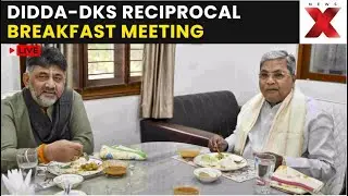 Sidda-DKs Breakfast Meeting LIVE: Siddaramaiah and Shivakumar Meet Over Breakfast in Karnataka|NewsX