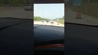 A family of ducks on the freeway WOW
