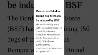 RAMPUR DOG IN BSF