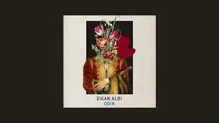 Zigan Aldi - Heppnar