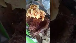 sabado de pesca gente