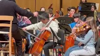 It all started out w/ the pretty cello teacher for my son 😅 and there is no stopping and it&rsquo;s $$
