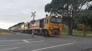 DL 9354 & DL 9544 on Train 217 at Hadfield Road Near Waikanae