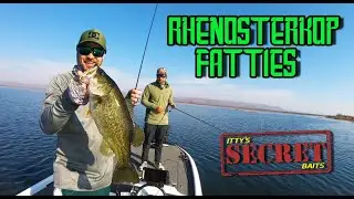 Rhenosterkop dam Fatties winter bass fishing.