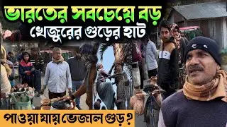 ভারতের সবচেয়ে বড় খেজুর গুড়ের বাজার  || India’s Largest Date Jaggery Market 