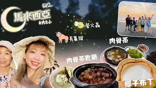 【 👨‍👩‍👦‍👦✨馬來西亞🇲🇾超抵玩沙巴之旅Ep.2】近距離睇長鼻猴、瀑布式￼螢火蟲/馬來西亞必食椰子布丁、肉骨茶￼