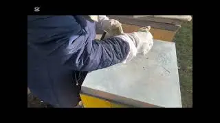 28 января,посмотрела пчёлы,испекла хлеб.
