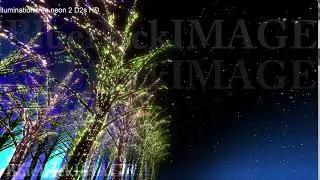 イルミネーション 光 ツリー 街 ネオン ライトアップ illumination tree neon 2 D2s HD