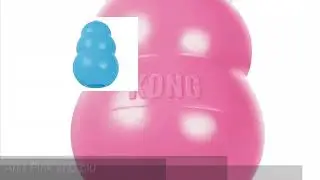 About rubber KONG toys for dogs 🦴