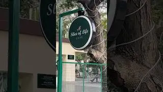 Cafe in SRM #srmuniversity #srmu #srm #srmktr #cafe #sliceoflife #food #cafereview #shorts