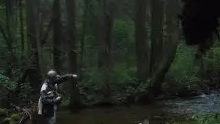 wild trout fising PA