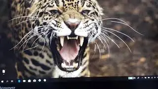 Android Oreo on PC(( dual boot))