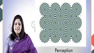 M-02. Domains of Cognitive Psychology