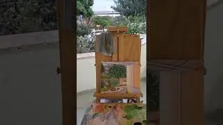 האם ציור שנעשה ממרפסת הבית נחשב ציור פלנר?
