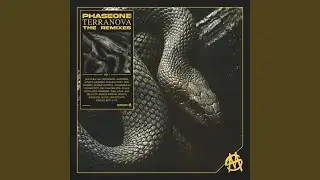 TERRANOVA (Everen Maxwell Remix)