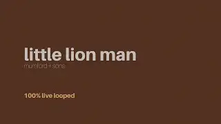 little lion man (mumford + sons live loop cover)