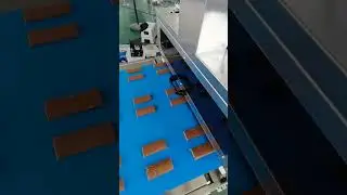 Hot selling six lanes multiple rows fruit bar production machine for sales #papamachine