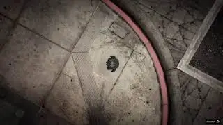 Carreras Aleatorias GTA ONLINE