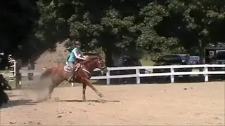 Lauren & Spunky - Gymkhana - Barrel Horse - Barrel Racing - Quarter Horse - AQHA Appendix - Western
