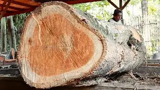 A veteran saws logs with great precision