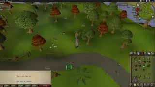 A token used to kill mythical beasts OSRS 2019