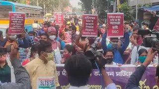 Govt job247