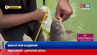 ചൂണ്ടയിടൽ മത്സരത്തിൽ പങ്കെടുത്ത് ലിൻേറാ ജോസഫ് എം.എൽ.എയും..