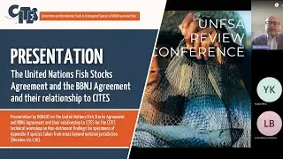 Presentation: The UN Fish Stocks Agreement and the BBNJ Agreement and Their Relationship to CITES