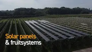 Solar panels and fruitsystems - FRUITSECURITY HOLLAND