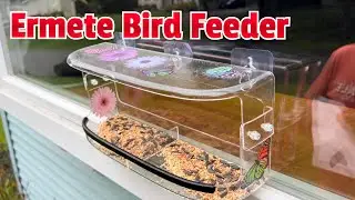 Ermete Window Bird Feeder #ermete #bird feeder #hummingbird feeder #amazonfinds