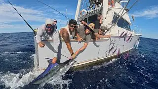 Marlin, Tuna, HUGE Kingfish and more! Three Kings are on FIRE!