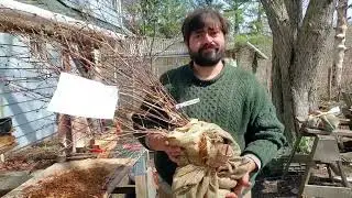 Wrapping Plants with Juan!