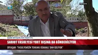 SARIOT FASULYESİ RAĞBET GÖRÜYOR
