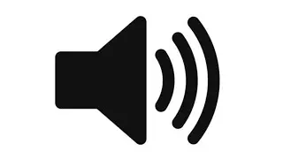 Soccer Referee Whistle 2 Sound Effect 