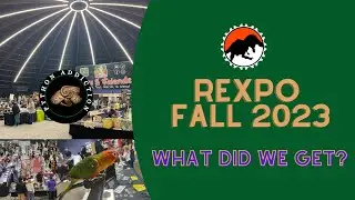 New York's Largest Reptile Expo. REXPO: Fall 2023