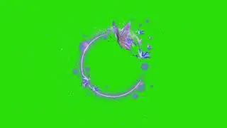 Round Butterfly Circle | Neon Frame With Beautiful Effect | Loop Video | HD Template Green Screen