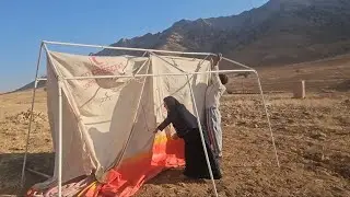 Nomadic life: migration of nomads to tropical regions due to the cold weather⛺️❤️