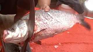 I never seen ll amazing big Katla fish cutting live skills by expert fish cutter in Fishmarket 