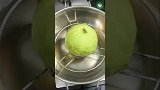 🍏 Viral Guava Recipes & Pro Cutting Tips for 2025 | Must-Try Guava Delights at Home!  ✨ #shorts