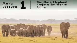 The Mara Elephant Project, The War of Space