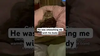 THIS is why cats sleep on you!