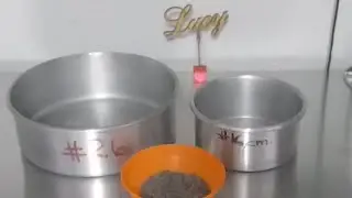 Tip para que las chispas de chocolate no se hundan 😁