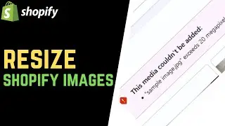 Fix Shopify Error: 
