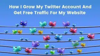 How I Grow My Twitter Account And Get Free Traffic For My Website