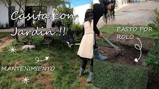 SEMBRANDO PASTO EN ROLLO / TRASFORMANDO  | MEJORA TU CASA DIY #CASITACONJARDIN1