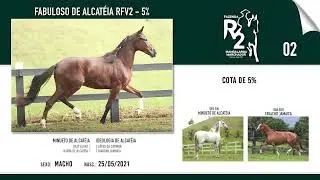 LOTE 02 FABULOSO DE ALCAT&Eacute;IA RFV2