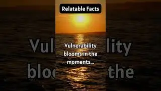 The Beauty of Vulnerable Moments 🌻