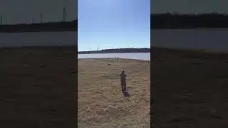 Target shooting with hogs and tannerite!!