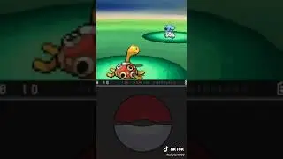 Pokemon black don't fuckle with shuckle #pokemon #pokemonblackandwhite #catch #nintendo #shuckle
