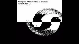 Encrypted Music Source - Accus (Original  Mix)